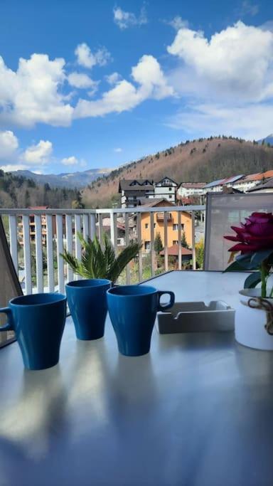 Apartament Erika Premium Sinaia Eksteriør bilde